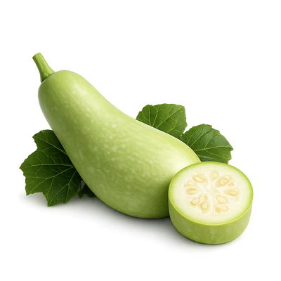Dudhi (Bottle Gourd)