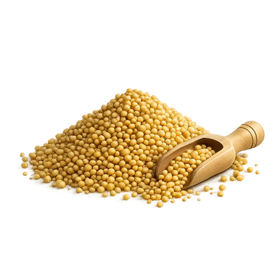 Rai Seeds