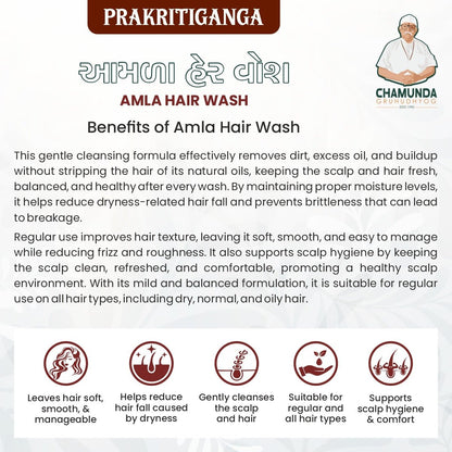Prakritiganga Amla Hair Wash - Chamunda Gruh Udhyog